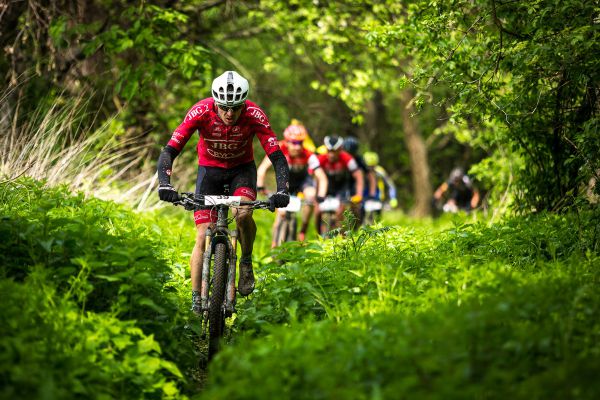 Author Šela Marathon 2019