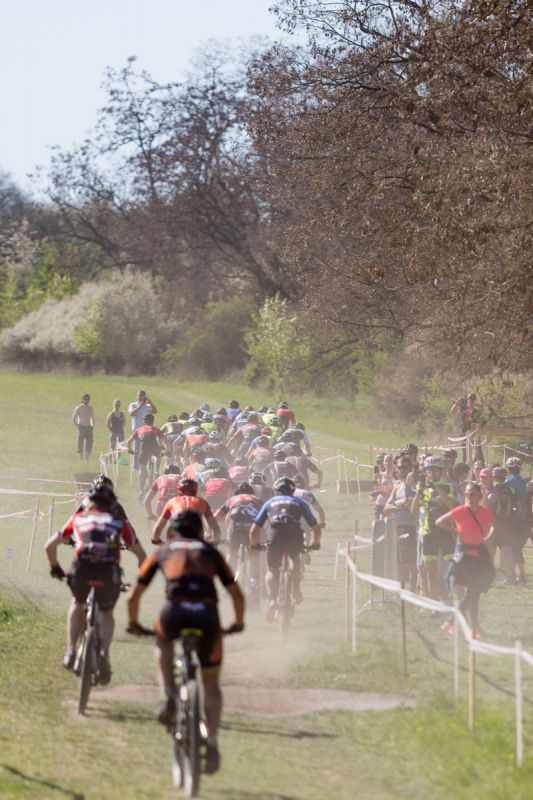 PAL Cup - Velká cena Města Touškova 2019