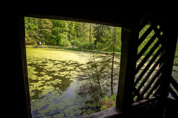 Author Šela Marathon 2019