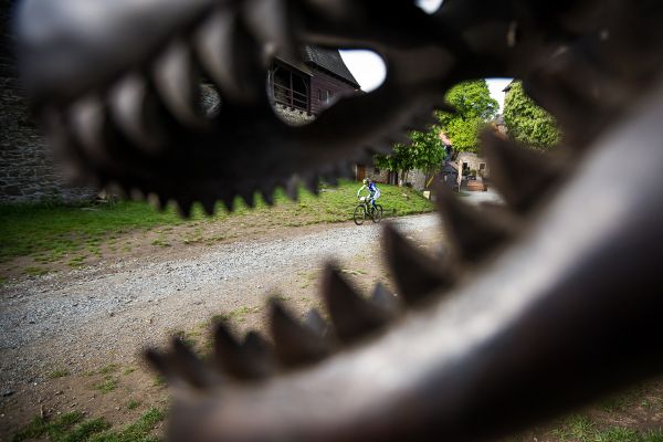 Author Šela Marathon 2019