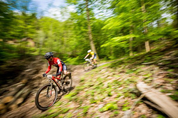 Author Šela Marathon 2019