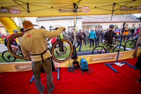 Author Šela Marathon 2019