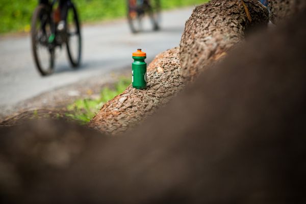 Author Šela Marathon 2019