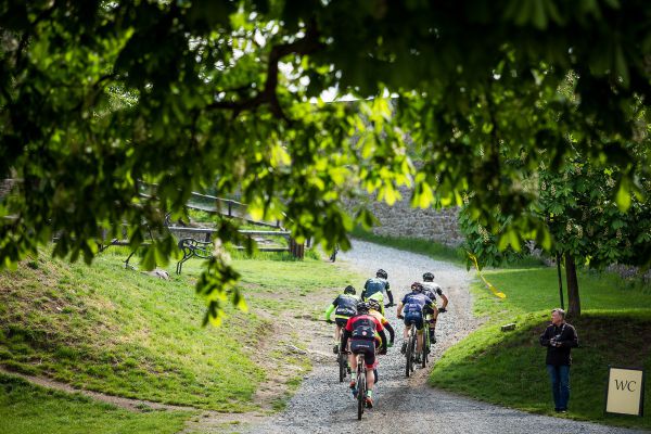 Author Šela Marathon 2019