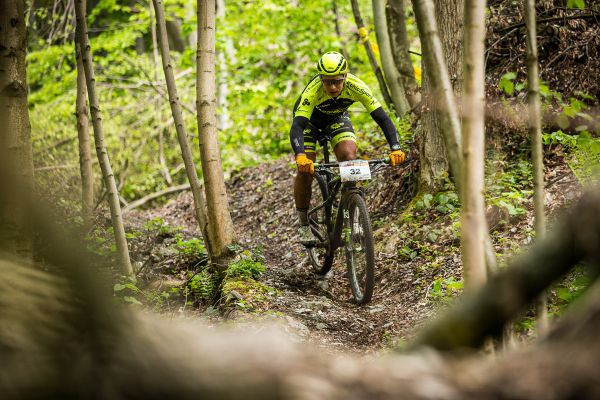 Author Šela Marathon 2019