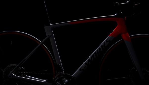 Specialized Roubaix 2020