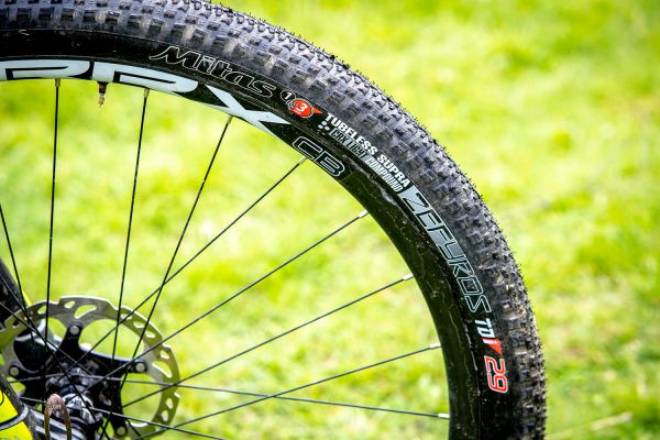 Head Trenton Jana Fojtíka