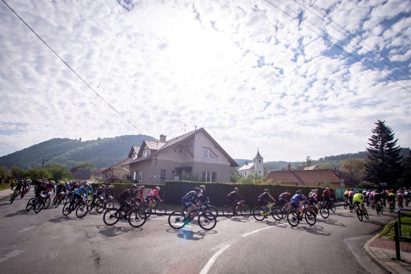 Author Šela Marathon 2019