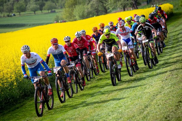 Author Šela Marathon 2019