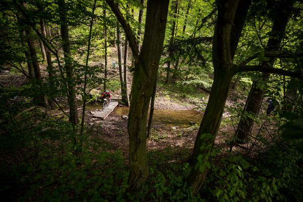 Author Šela Marathon 2019