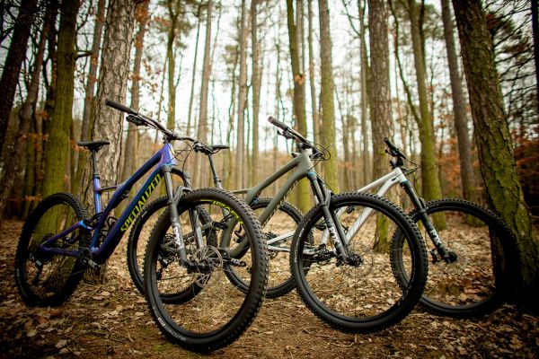 Spcialized Stumpjumpers 2019