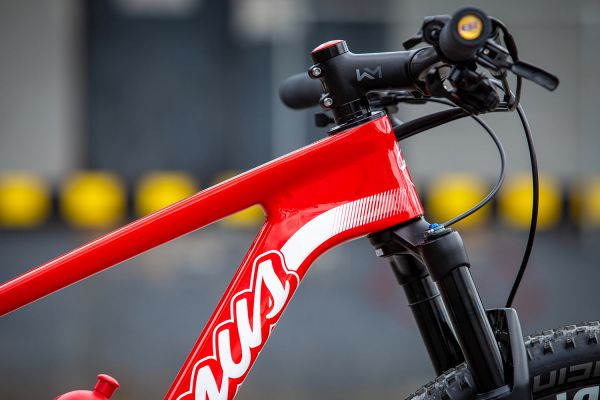 Thömus Tomcat Worldcup Mathiase Flückigera