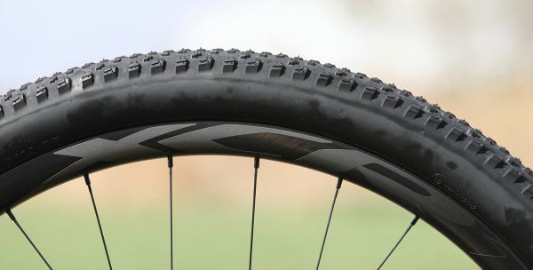 Giant Anthem Advanced SL 1