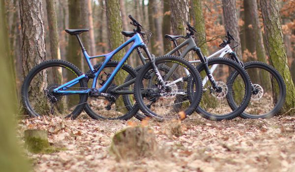 Spcialized Stumpjumpers 2019