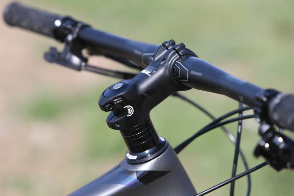 Giant Anthem Advanced SL 1