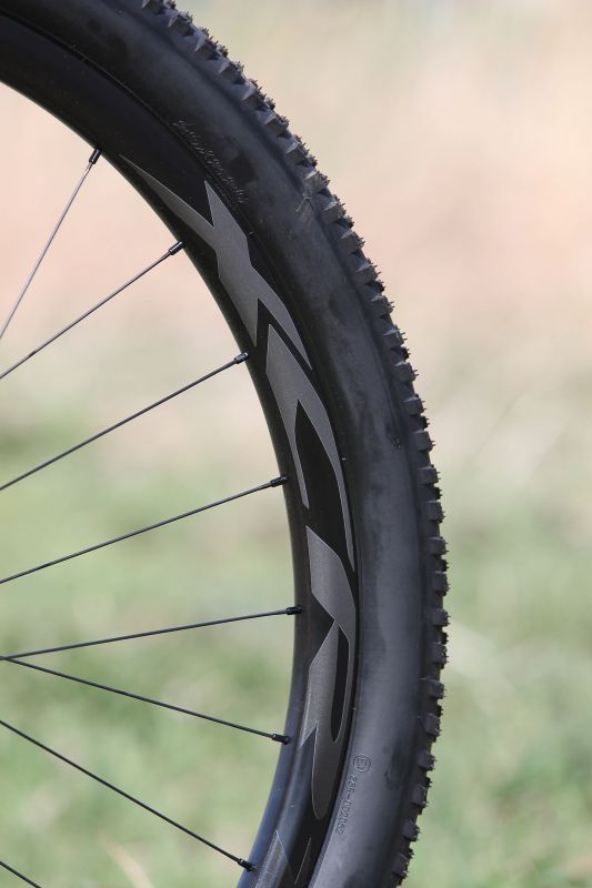 Giant Anthem Advanced SL 1