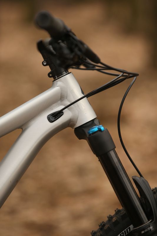 Specialized Stumpjumper EVO Comp Alloy 29