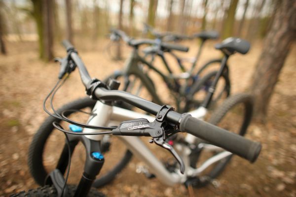 Spcialized Stumpjumpers 2019