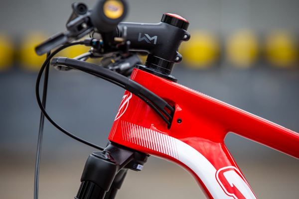 Thömus Tomcat Worldcup Mathiase Flückigera