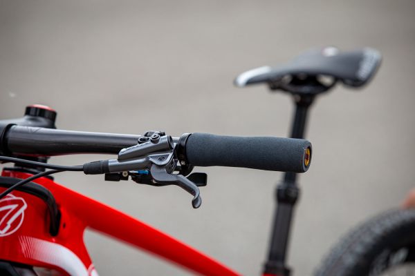 Thömus Tomcat Worldcup Mathiase Flückigera