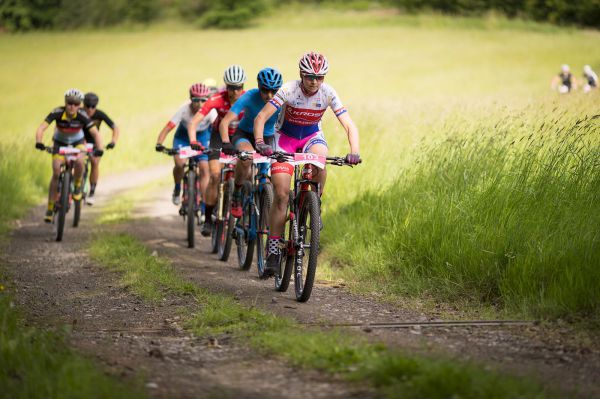 Malevil Cup by Author 2019