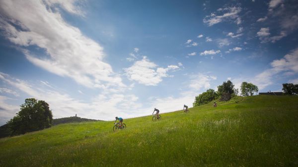 Malevil Cup by Author 2019