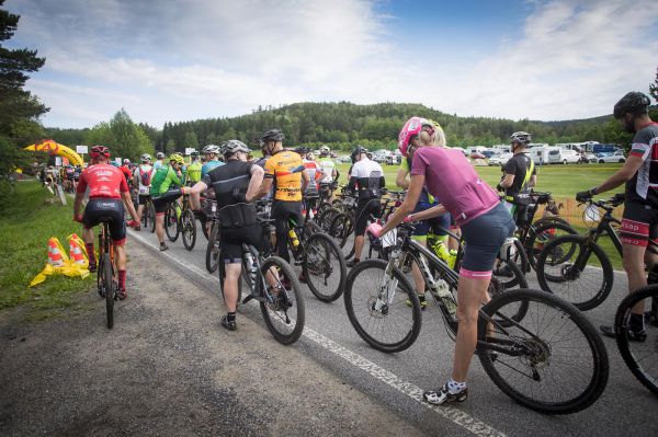 Malevil Cup by Author 2019