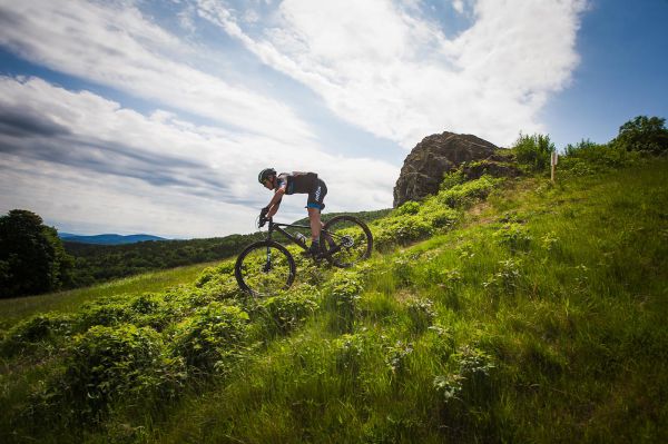 Malevil Cup by Author 2019