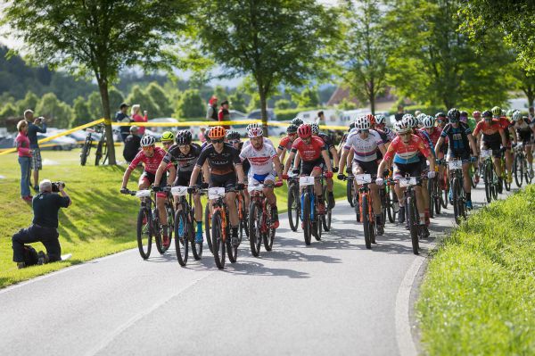 Malevil Cup by Author 2019