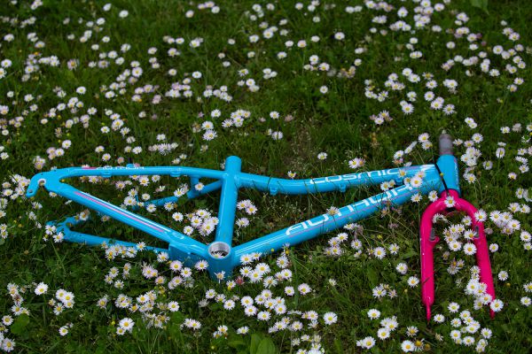 Author 2020 - Čejkovice