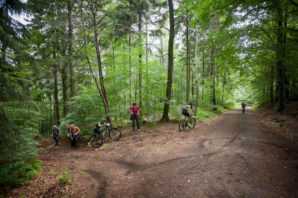 Malevil Cup by Author 2019