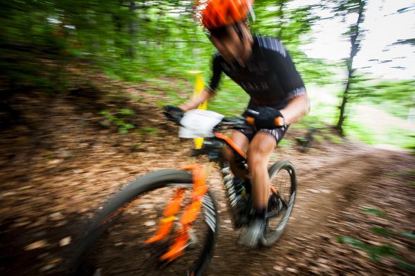 Malevil Cup by Author 2019