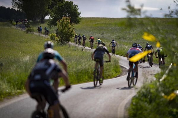 Malevil Cup by Author 2019