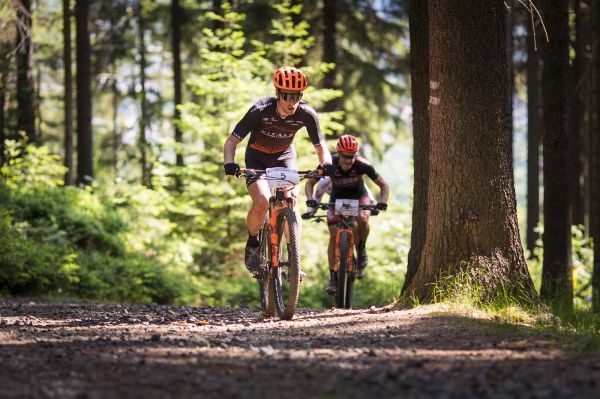 Malevil Cup by Author 2019