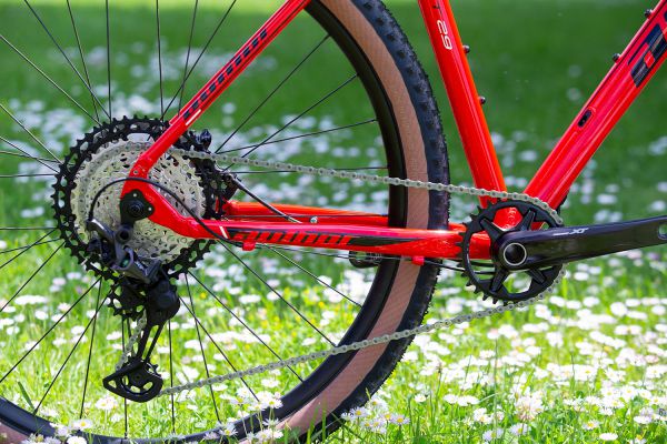 Author 2020 - Čejkovice