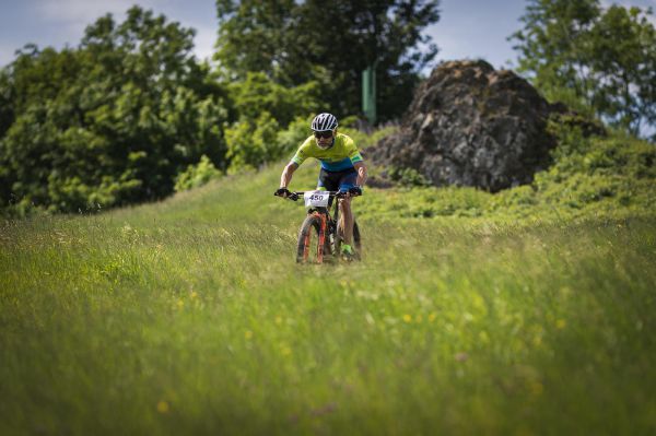 Malevil Cup by Author 2019