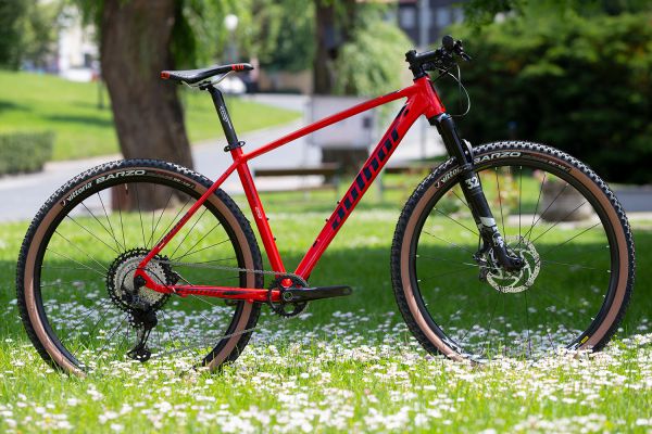 Author 2020 - Čejkovice