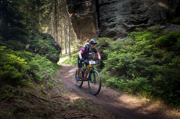 Malevil Cup by Author 2019