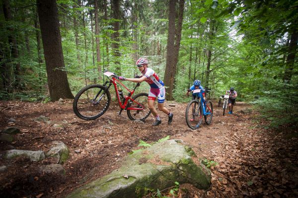 Malevil Cup by Author 2019