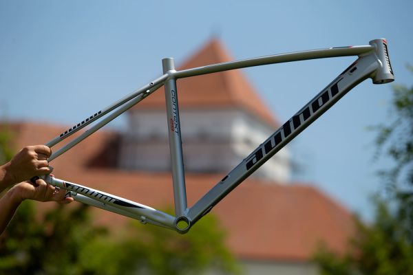 Author 2020 - Čejkovice