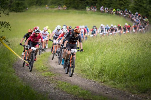 Malevil Cup by Author 2019