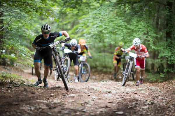 Malevil Cup by Author 2019