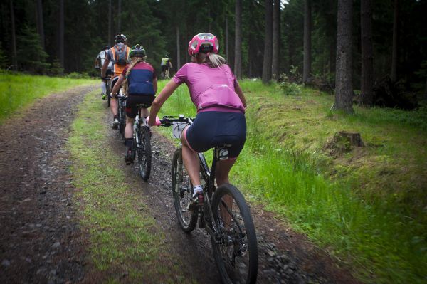 Malevil Cup by Author 2019