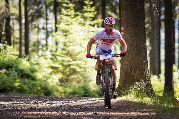 Malevil Cup by Author 2019