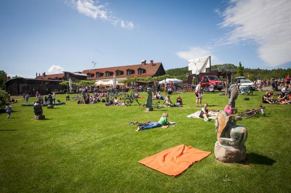 Malevil Cup by Author 2019