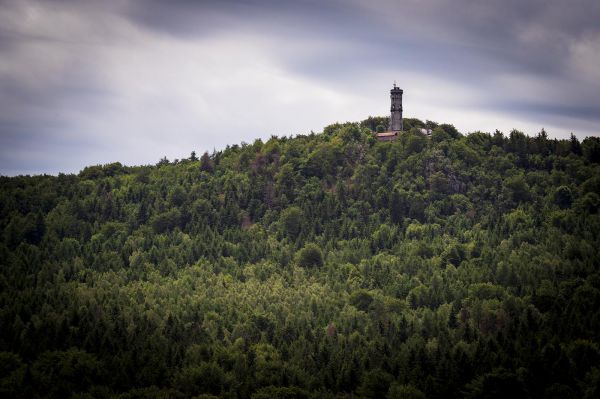 Malevil Cup by Author 2019