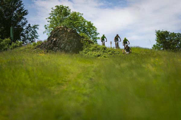 Malevil Cup by Author 2019