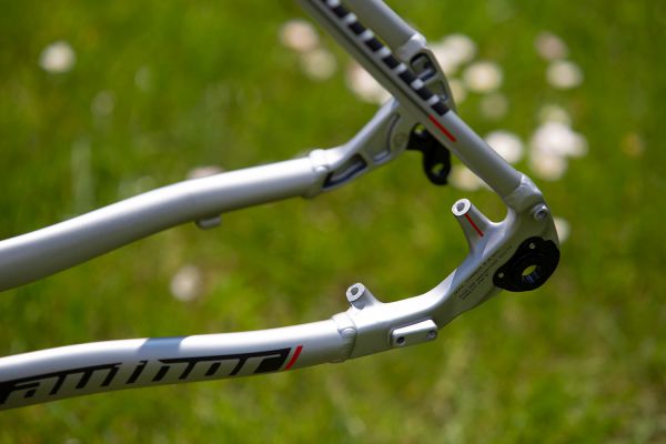 Author 2020 - Čejkovice