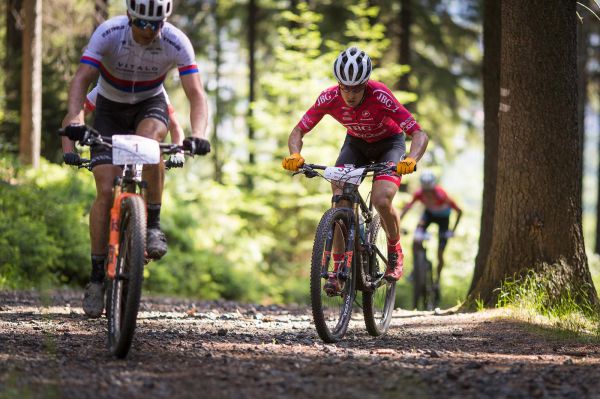 Malevil Cup by Author 2019