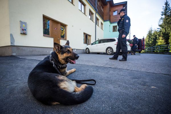 Každý den musel areál projít pyrotechnickou prohlídkou